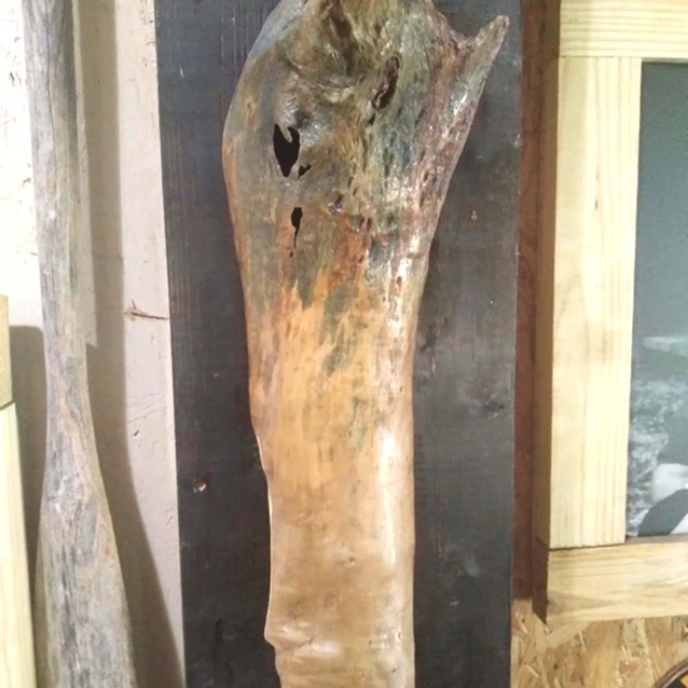 ⬇️⬇️Large OOAK Driftwood art sculpture piece was 30.00 - Picture 12 of 15